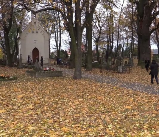 iTV INFO – 2 LISTOPADA 2018