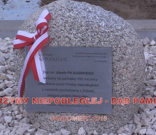 POSADZILI SYMBOLICZNY DĄB PAMIĘCI – SANDOMIERZ W HOŁDZIE MARSZAŁKOWI