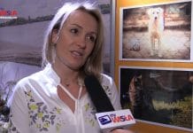 POKOCHAJ ZWIERZAKA ZE SCHRONISKA – ZACHĘCAJĄ DO ADOPCJI