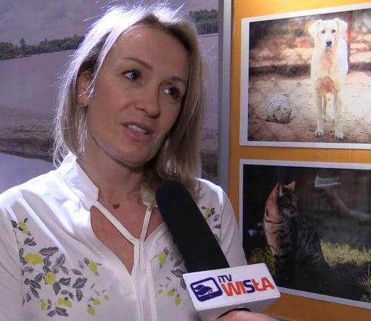 POKOCHAJ ZWIERZAKA ZE SCHRONISKA – ZACHĘCAJĄ DO ADOPCJI