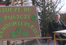 AKTYWNIE W LESIE I O LESIE – KLUCZE DO PUSZCZY SANDOMIERSKIEJ