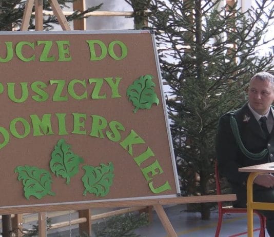 AKTYWNIE W LESIE I O LESIE – KLUCZE DO PUSZCZY SANDOMIERSKIEJ