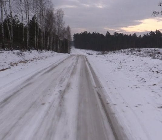 DROGOWA INWESTYCJA W LESIE – POŁĄCZĄ DWA POWIATY