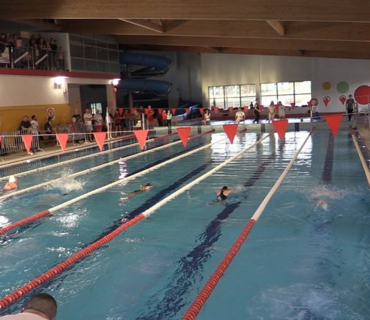 RYWALIZACJA PŁYWAKÓW Z PODKARPACIA – W NOWEJ DĘBIE WALCZYLI O MEDALE