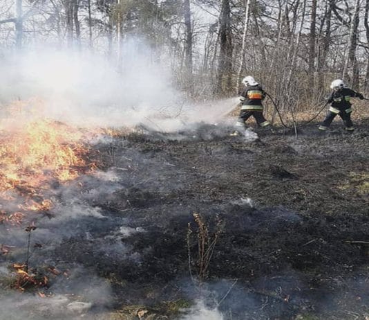 WALCZĄ Z GŁUPOTĄ I BEZMYŚLNOŚCIĄ – STOP WYPALANIU TRAW!
