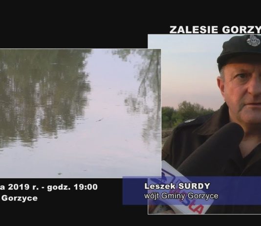 „WIELKA WODA” – ZAPOLEDNIK, ZALESIE GORZYCKIE, SANDOMIERZ