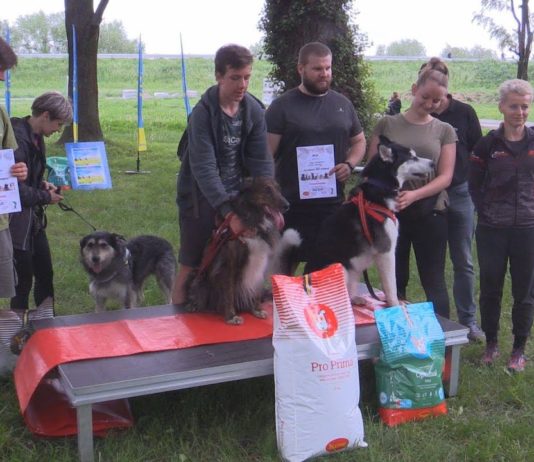 PODAJ ŁAPĘ PRZYJACIELU – PIKNIK Z PSAMI W TARNOBRZEGU