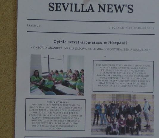 BOGACI W DOŚWIADCZENIE ZAWODOWE – ATRAKCYJNI NA RYNKU PRACY