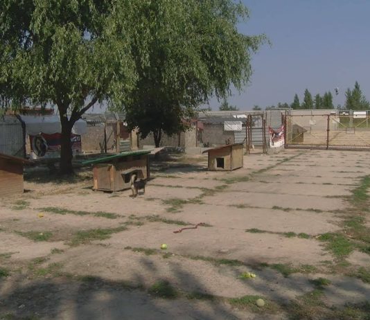 iTV INFO – 30 SIERPNIA 2019