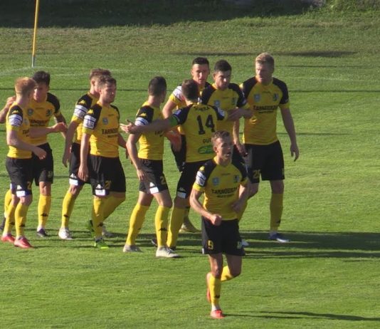 MECZ PRZYJAŹNI W TARNOBRZEGU – SIARKA POKONAŁA WISŁĘ!