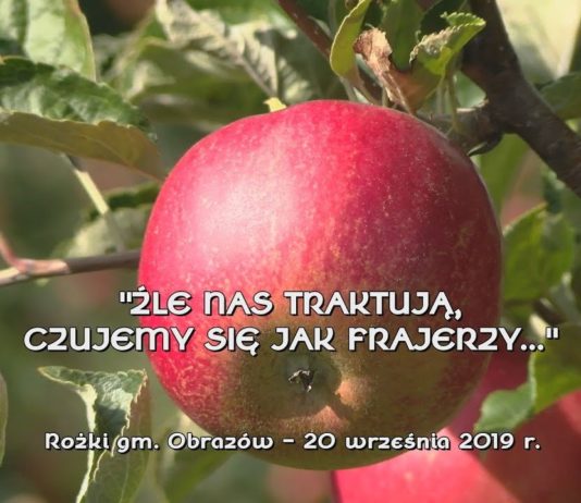 PROBLEMY SANDOMIERSKICH SADOWNIKÓW – ZMOWA CENOWA SKUPÓW JABŁEK?