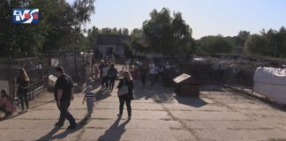 PRZYGARNIJ PUPILA ZE SCHRONISKA – W MACHOWIE OTWORZYLI DRZWI