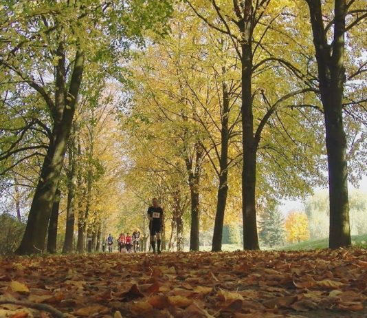 iTV INFO – 25 PAŹDZIERNIKA 2019