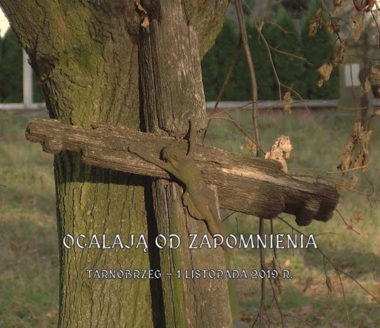 OCALAJĄ OD ZAPOMNIENIA – REKORDOWE KWESTOWANIE W TARNOBRZEGU