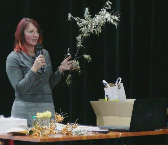 PODSUMOWALI „ZIOŁOWY” PROJEKT – AKTYWNI SENIORZY W BARANOWIE SANDOMIERSKIM