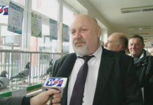 HODOWCY POKAZALI SWOJĄ PASJĘ – REKORDOWA WYSTAWA GOŁĘBI POCZTOWYCH