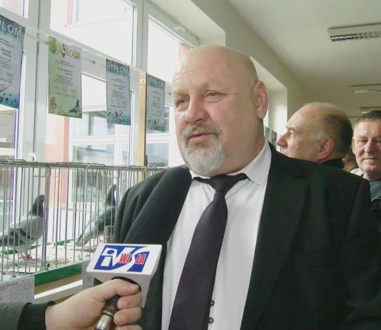 HODOWCY POKAZALI SWOJĄ PASJĘ – REKORDOWA WYSTAWA GOŁĘBI POCZTOWYCH