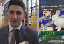 NOWA DĘBA: ZAPRASZAMY NA III OGÓLNOPOLSKĄ WYSTAWĘ KRÓLIKÓW WIEDEŃSKICH