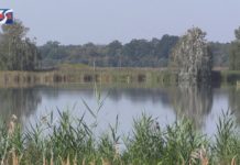 iTV INFO – 21 LUTEGO 2020