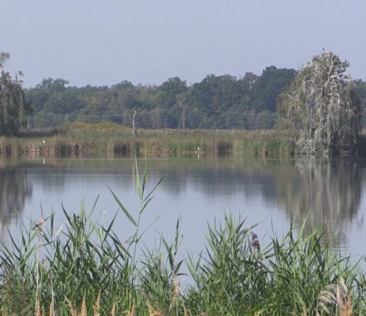 iTV INFO – 21 LUTEGO 2020