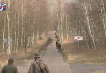 POSZUKIWANIA PADŁYCH DZIKÓW – JAK WYGLĄDA WALKA Z ASF?