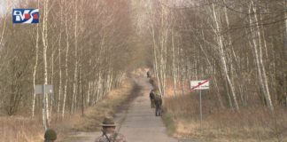 POSZUKIWANIA PADŁYCH DZIKÓW – JAK WYGLĄDA WALKA Z ASF?