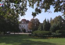 PROMUJ AKCJĘ „ZOSTAŃ W DOMU” – ZADBAJ O BEZPIECZEŃSTWO!