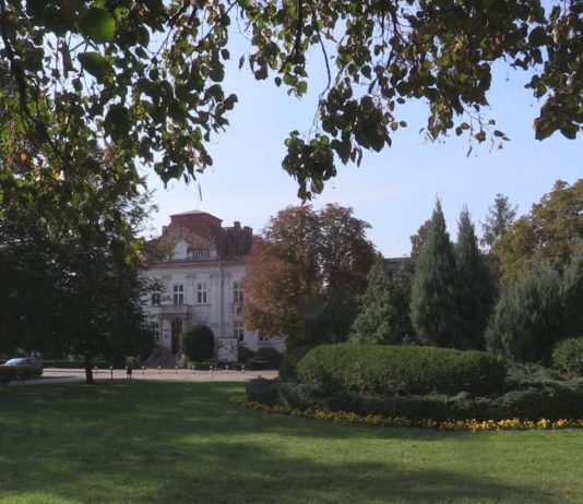 PROMUJ AKCJĘ „ZOSTAŃ W DOMU” – ZADBAJ O BEZPIECZEŃSTWO!