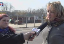 NIE BÓJMY SIĘ ZWIERZAKÓW – PSY I KOTY NIE ZARAŻAJĄ KORONAWIRUSEM