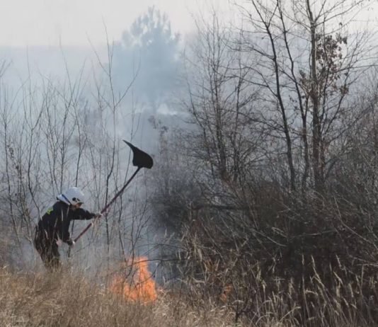 STRAŻACY ZNÓW WALCZĄ Z ŻYWIOŁEM – STOP WYPALANIU TRAW!