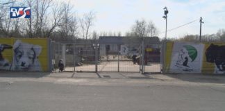 ZOSTAŃ W DOMU I POMAGAJ – LICYTACJE DLA MACHOWIAKÓW