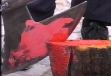 SANDOMIERZ 1998: DZIEŃ OTWARTY W MUZEUM