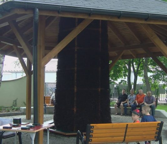 TĘŻNIA SOLANKOWA W SANDOMIERZU – JEDYNY TAKI PARK W REGIONIE