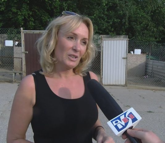 WAKACJE U MACHOWIAKÓW – PRACOWITE TYGODNIE W SCHRONISKU