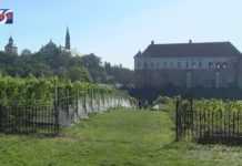 iTV INFO – 11 WRZEŚNIA 2020