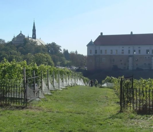 iTV INFO – 11 WRZEŚNIA 2020