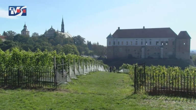 iTV INFO – 11 WRZEŚNIA 2020