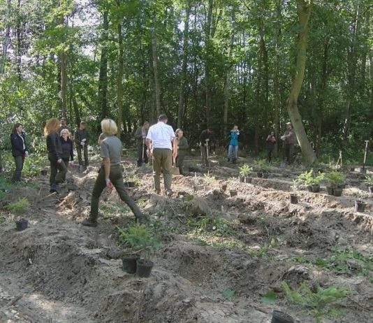 iTV INFO – 25 WRZEŚNIA 2020