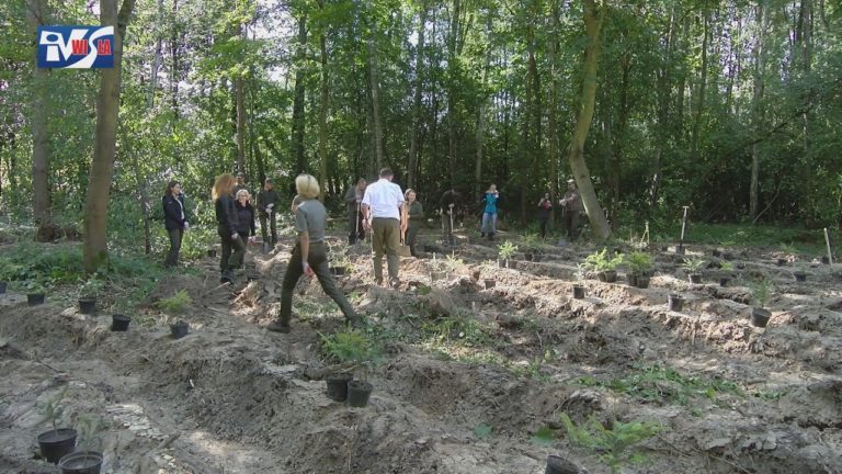 iTV INFO – 25 WRZEŚNIA 2020