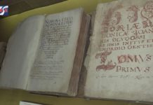 TARNOBRZEG: GMINA CHCE WYKUPIĆ KOLEKCJĘ DZIKOWSKĄ