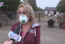 Z WIZYTĄ U MACHOWIAKÓW – CO SŁYCHAĆ W SCHRONISKU?