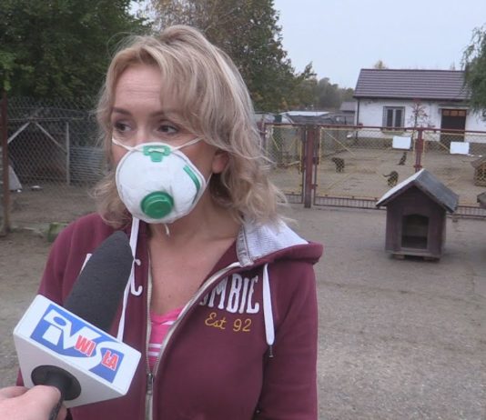 Z WIZYTĄ U MACHOWIAKÓW – CO SŁYCHAĆ W SCHRONISKU?