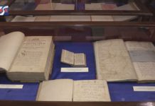 TARNOBRZESCY RADNI ZDECYDOWALI – KOLEKCJA DZIKOWSKA ZOSTANIE WYKUPIONA