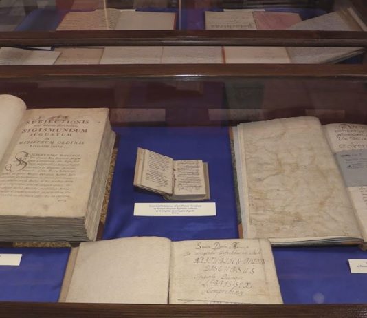 TARNOBRZESCY RADNI ZDECYDOWALI – KOLEKCJA DZIKOWSKA ZOSTANIE WYKUPIONA