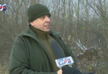 WYCINKI W LESIE ZWIERZYNIECKIM – DLACZEGO SĄ PROWADZONE?