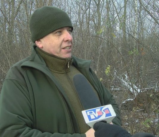 WYCINKI W LESIE ZWIERZYNIECKIM – DLACZEGO SĄ PROWADZONE?