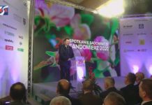 BARWNA ORKIESTRA ZNÓW ZAGRAŁA – FINAŁ WOŚP W SANDOMIERZU