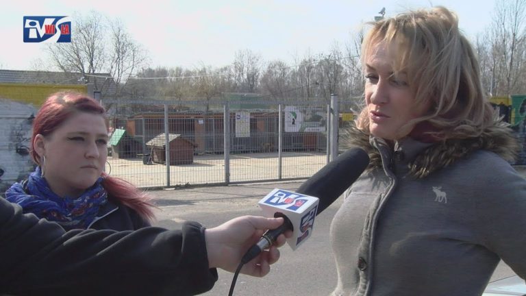 TARNOBRZEG: SZKOŁA W MIECHOCINIE DOCZEKA SIĘ SALI GIMNASTYCZNEJ?