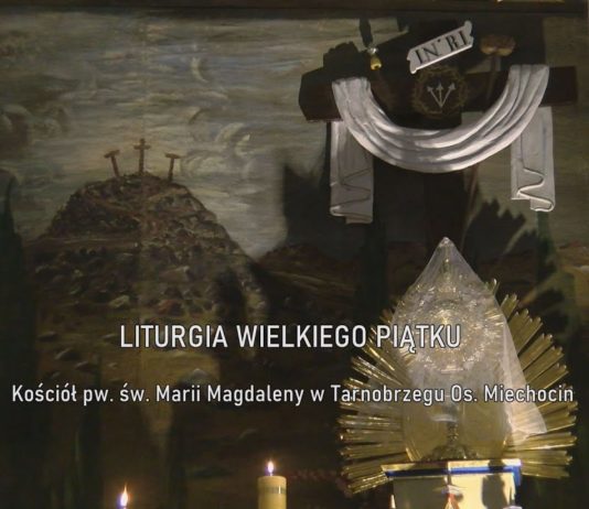 STOWARZYSZENIE PATRIOTYCZNY TARNOBRZEG – JAK WYGLĄDA JEGO DZIAŁALNOŚĆ?