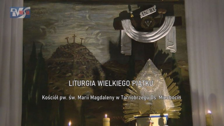BUDOWA OBWODNICY TARNOBRZEGA – INWESTYCJA Z PROTESTEM W TLE